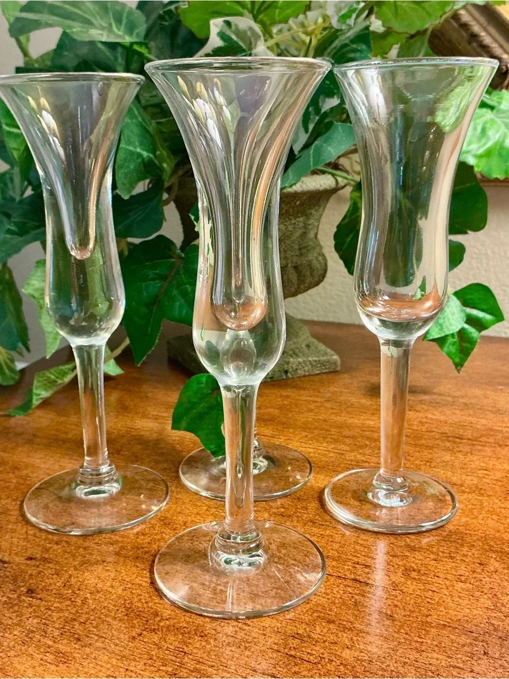 Set of 4 Vintage Tulip Cordial Glasses